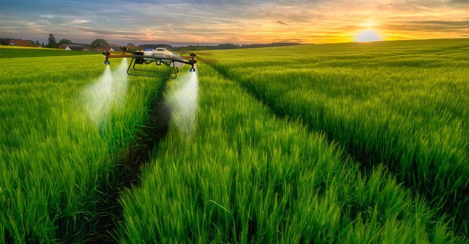 IM体育·(中国区)官方网站 -APP下载